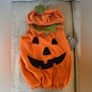Pottery Barn Kids Baby Pumpkin Halloween Costume